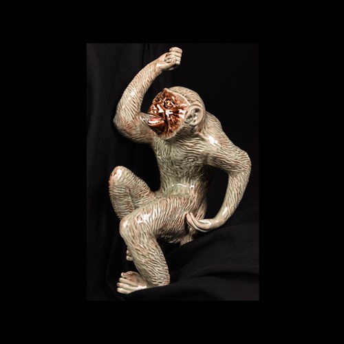 Monos colgando Ruta bordaliana