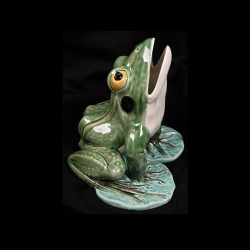 Rana Ruta Bordaliana