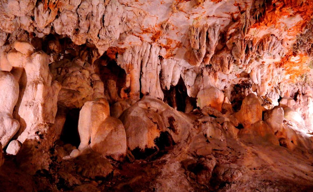 DIVERSIDAD GRUTAS DE ALVADOS