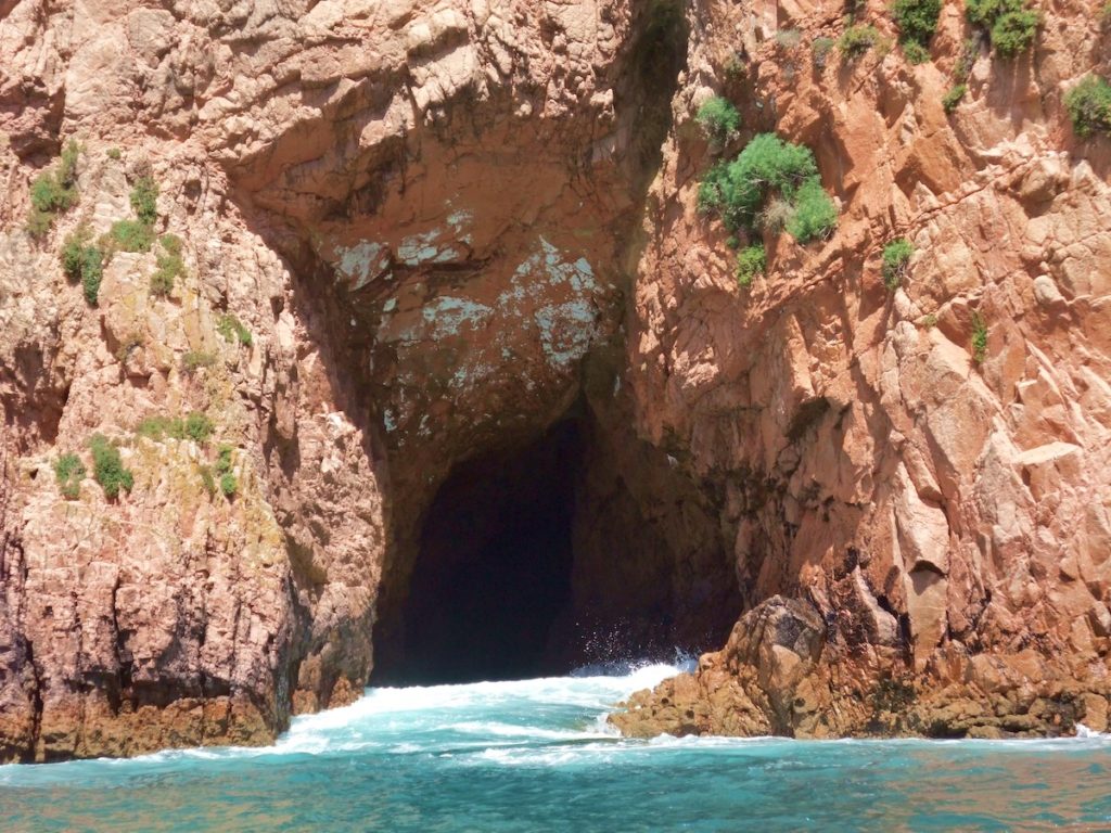 Paseo grutas Berlenga Grande