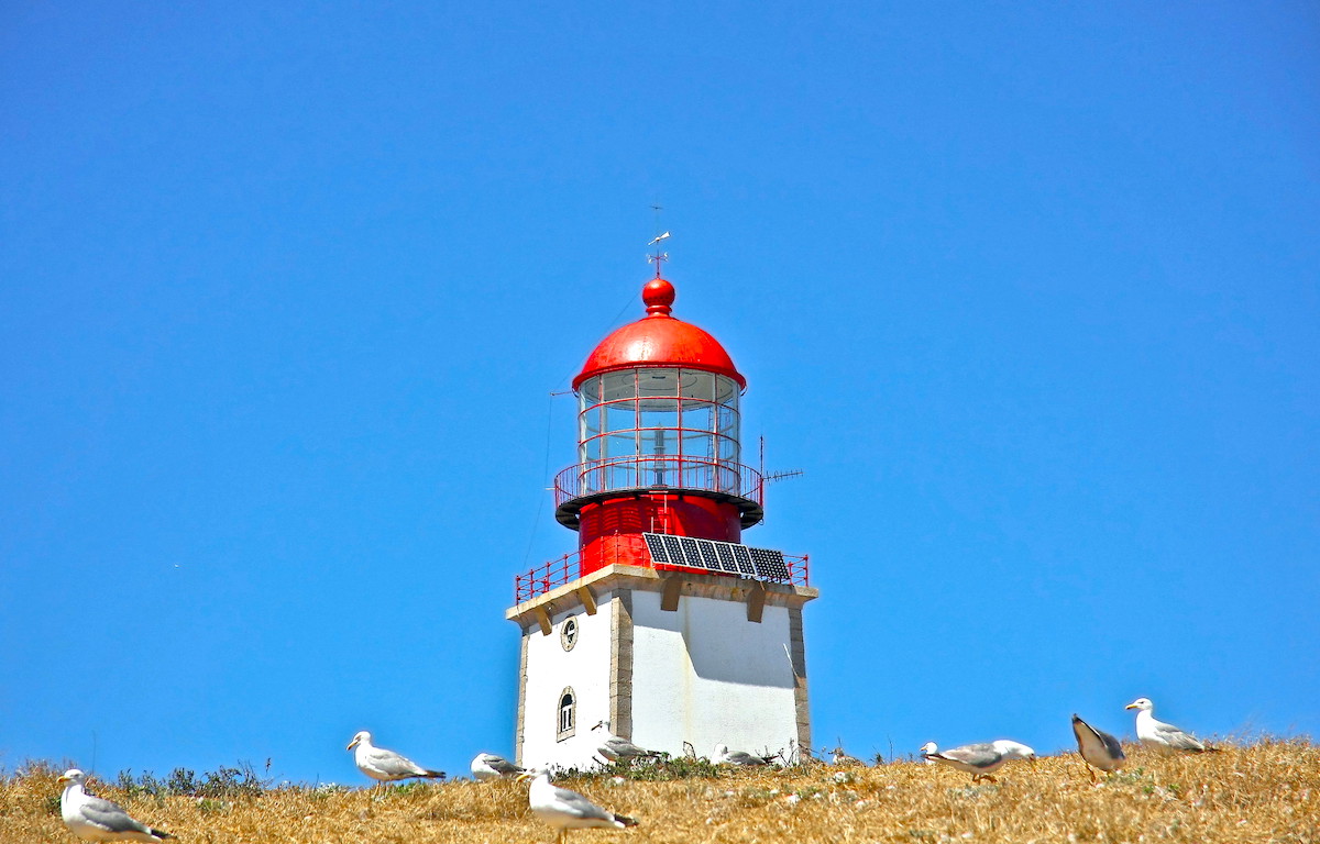 Paneles solares Faro Berlengas