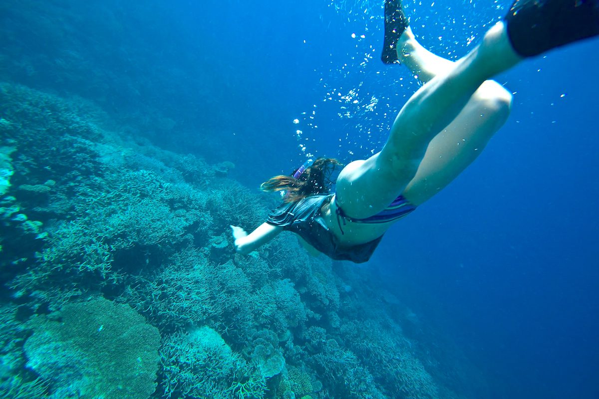 Snorkel Berlengas